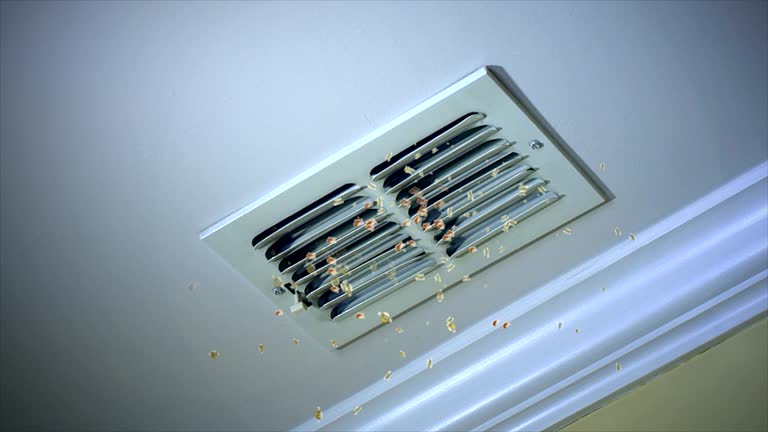 Best General Air Duct Cleaning  in Parsons, WV