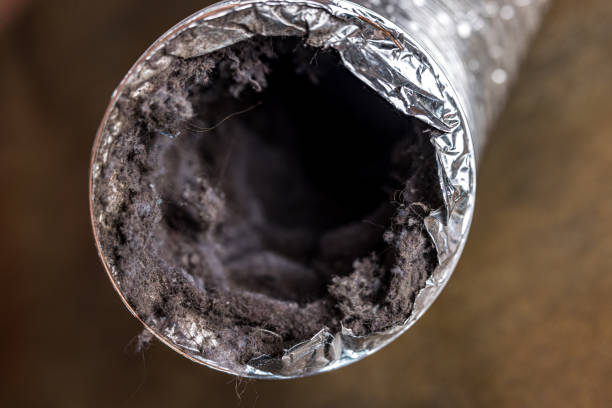 Best Commercial Air Duct Cleaning  in Parsons, WV