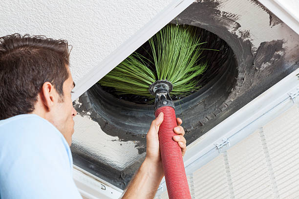 Best Professional Duct Cleaning Services  in Parsons, WV